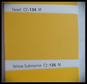 Lemon yellow like Yellow Submarine by C2 is a fun accent.